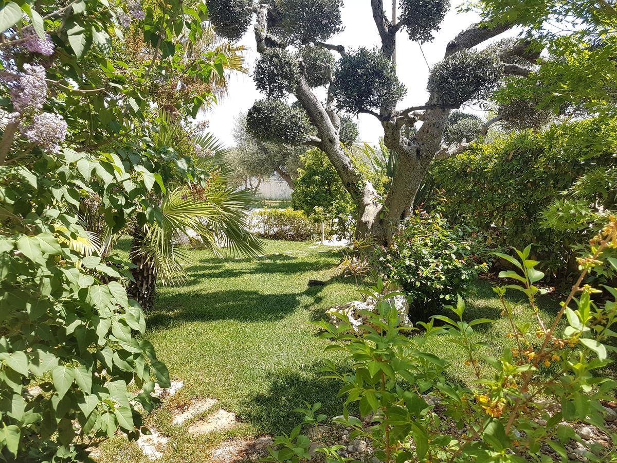 Villa Petra Chiara Locorotondo Eksteriør bilde